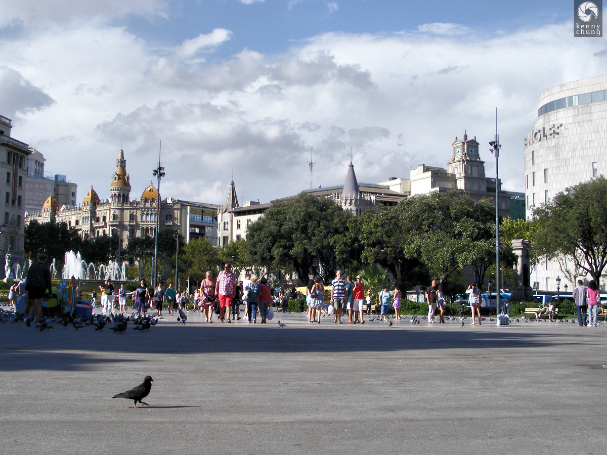 Pigeon at Plaça de Catalunya