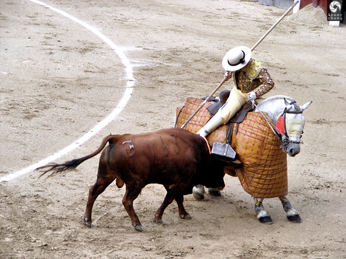 Bull goring the picador's horse