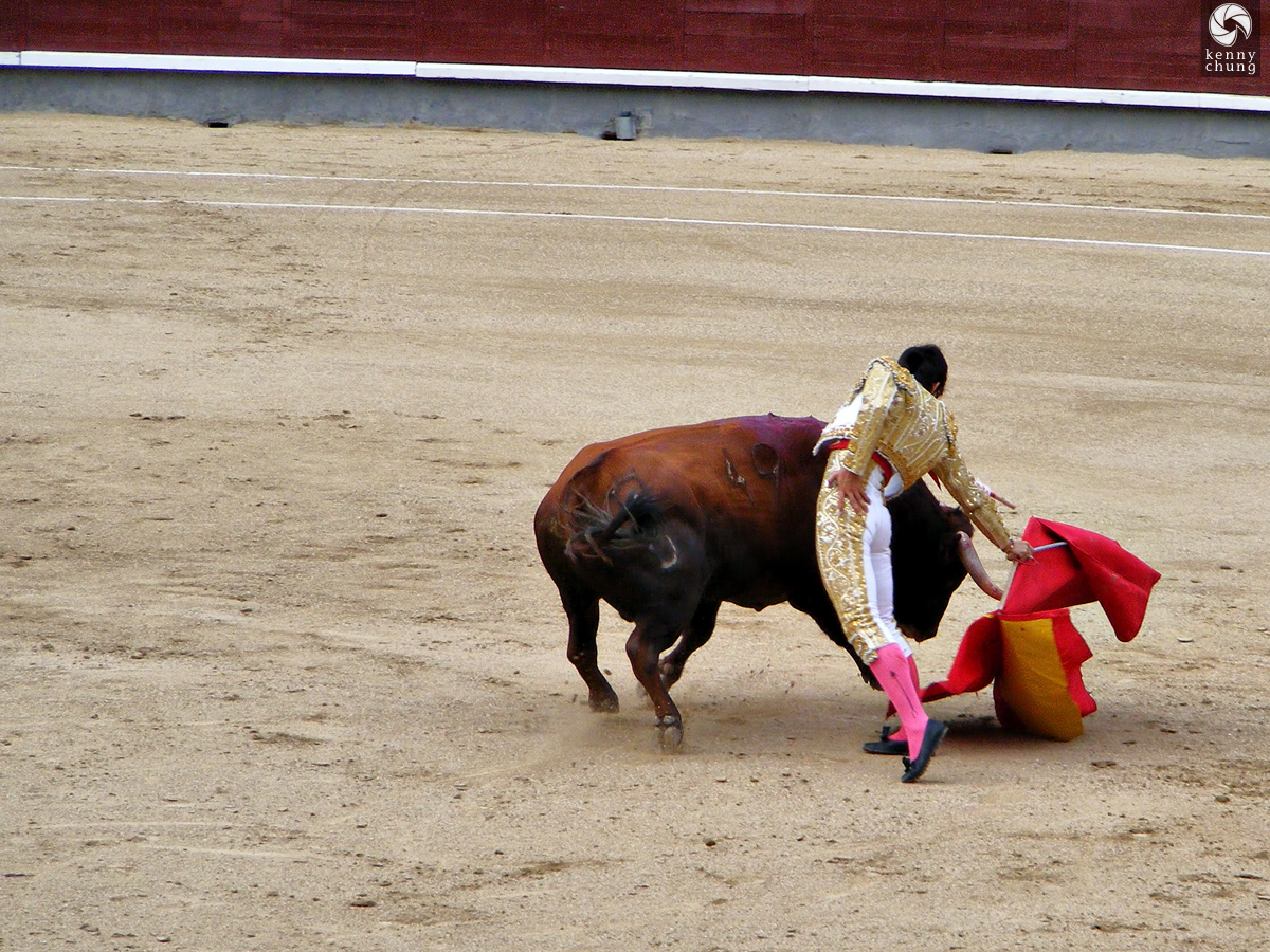 Matador with his muleta