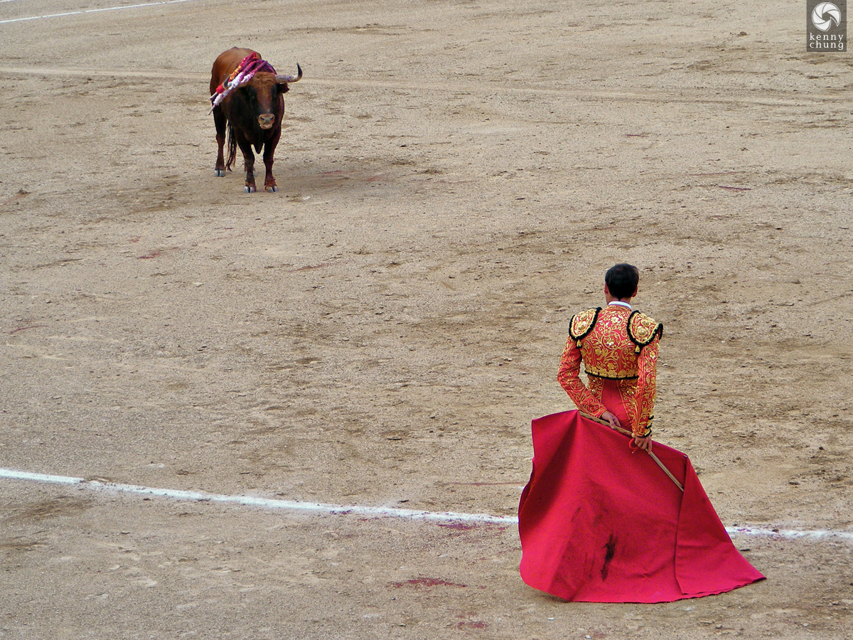 The matador ready to kill the bull