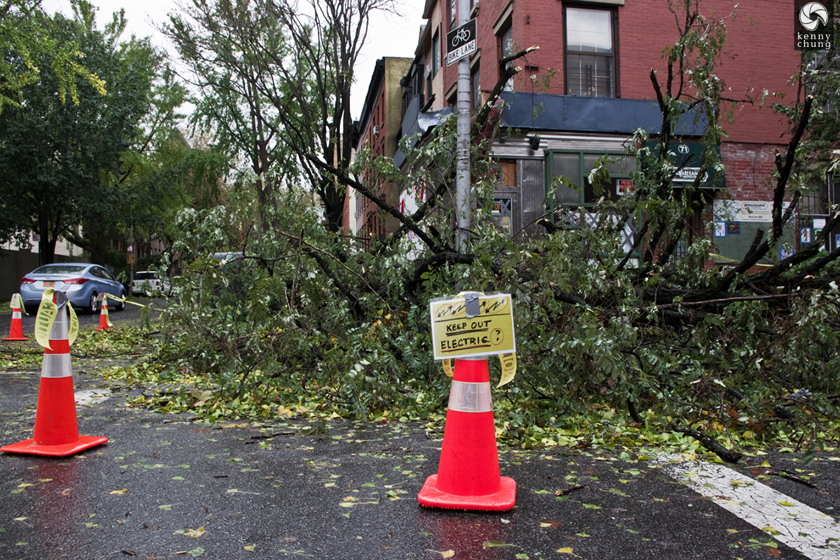 Trees and electric cables taken down by Hurricane Sandy in Brooklyn